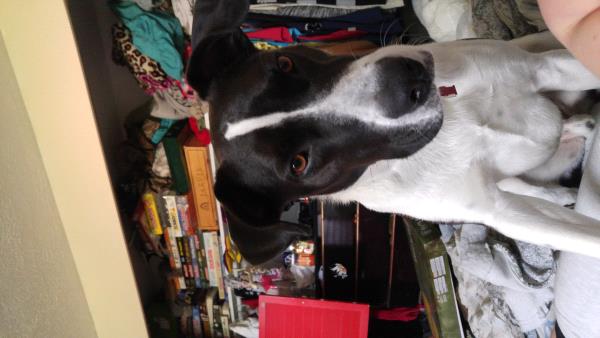 /Images/uploads/Humane Society of Utah/HSUCalendar/entries/777thumb.jpg